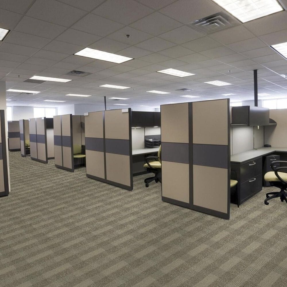 Shaw Square Deal Carpet in Integrity, , large