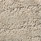 Anderson Tuftex Matisse Carpet in Inner Balance, , large