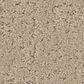 Shaw Canvas Comfort Carpet in Back Patio, , large