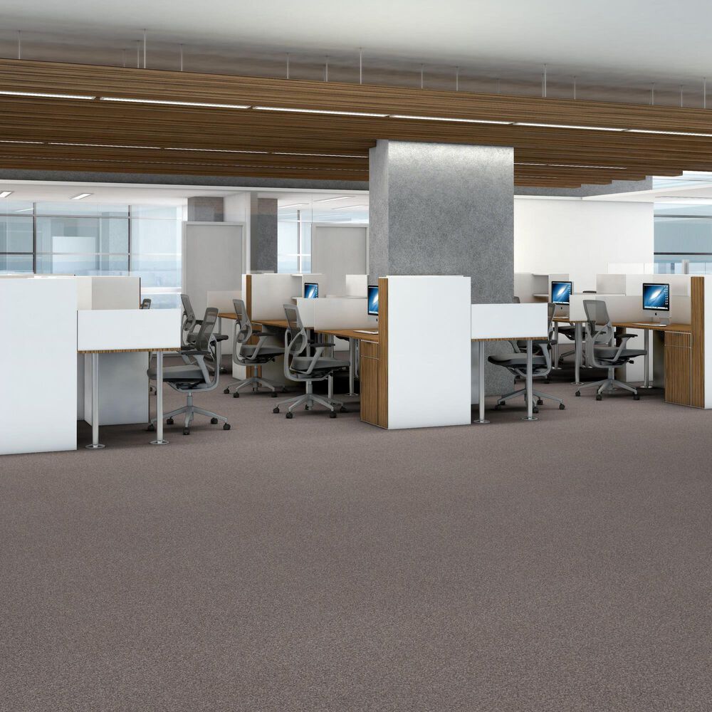 Shaw Trusplendor Carpet in Stainless, , large