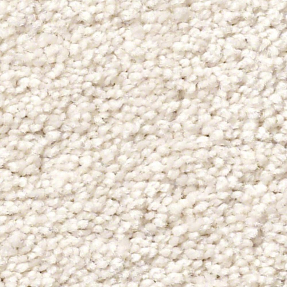 Anderson Tuftex Pawparazzi II Carpet in Capri Coast, , large