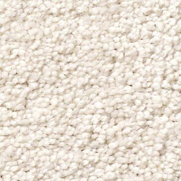 Anderson Tuftex Pawparazzi II Carpet in Capri Coast, , large