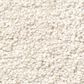 Anderson Tuftex Pawparazzi II Carpet in Capri Coast, , large