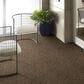 Shaw Multiplicity Carpet in Exuberance, , large