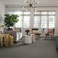 Shaw Simply the Best All Set II Carpet in Rhino, , large