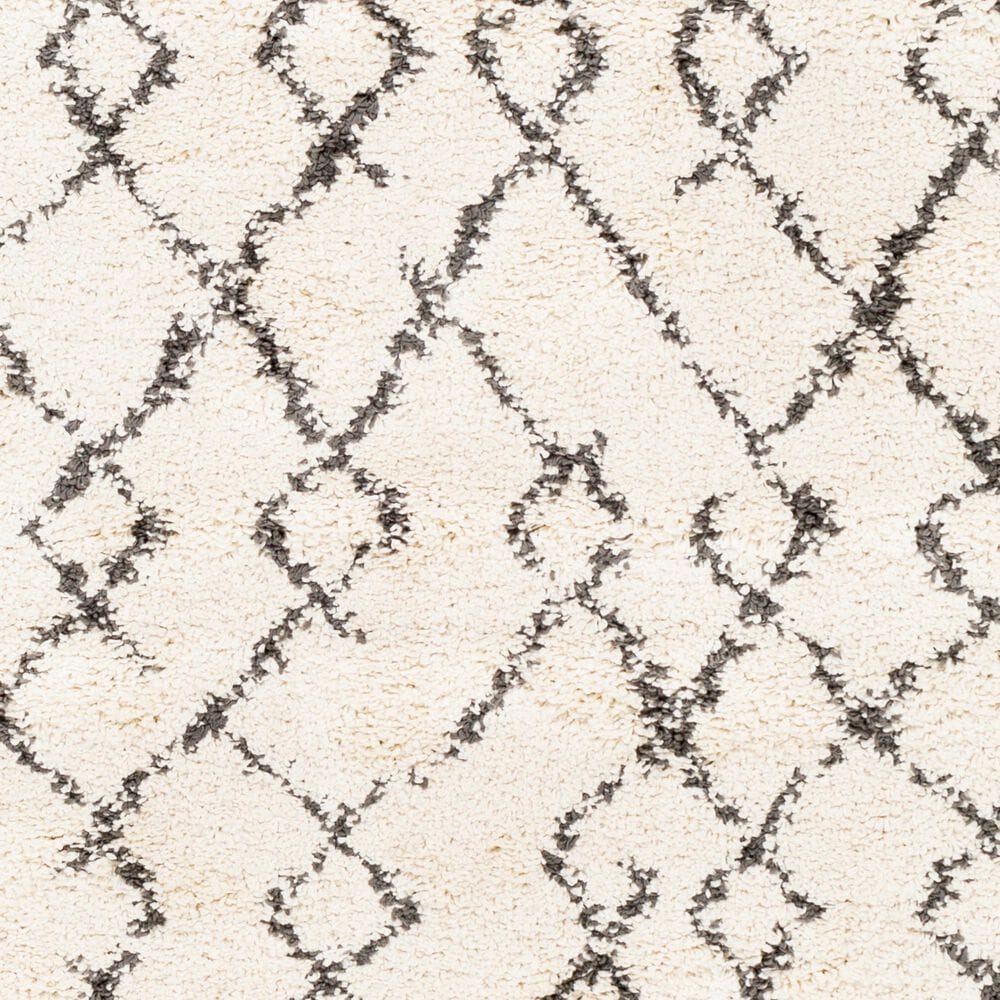 Surya Berber Shag BBE2301 6&#39;7&quot; x 9&#39; Charcoal and Beige Area Rug, , large
