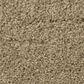 Shaw Phenomenal Carpet in Prairie, , large