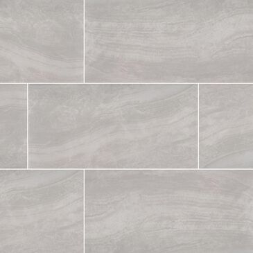 MS International Praia Gray 12" x 24" Porcelain Tile, , large