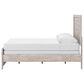 Ashley Broachmyn Full Bed with Nightstand in Light Gray, , large