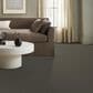 Anderson Tuftex Elegant Beauty Carpet in Highrise, , large
