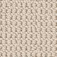 Anderson Tuftex Arden Park Carpet in Scroll, , large
