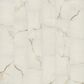 Shaw Astoria Oyster 24" x 48" Polished Porcelain Tile, , large