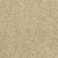 Dixie Home Simplicity Carpet in Taffy, , large