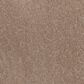 Karastan Eminent Elements Carpet in Travertine, , large