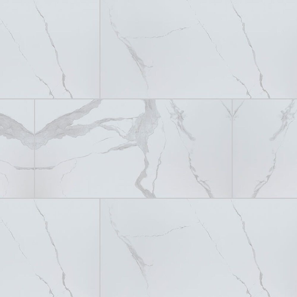 MS International Eden Statuary 12" x 24" Polished Porcelain Tile, , large