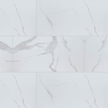 MS International Eden Statuary 12" x 24" Polished Porcelain Tile, , large