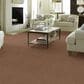 Anderson Tuftex Vintage Revival Carpet in Sunbaked, , large