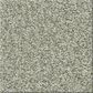 Shaw Comforting II Carpet in Sage Brush, , large