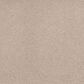 Karastan Tropical Vision Carpet in Villa, , large
