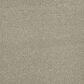 Dream Weaver PS260 Carpet in Oak Barrel, , large