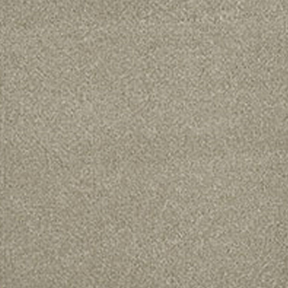 Dream Weaver PS260 Carpet in Oak Barrel, , large