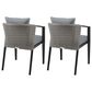 Blue River Aileen Outdoor Dining Chair with Dark Gray Cushion in Black and Gray (Set of 2), , large
