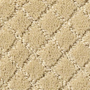 Anderson Tuftex Off Leash Carpet in Cork, , large