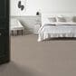 Anderson Tuftex Tangent Carpet in Pebble Bath, , large