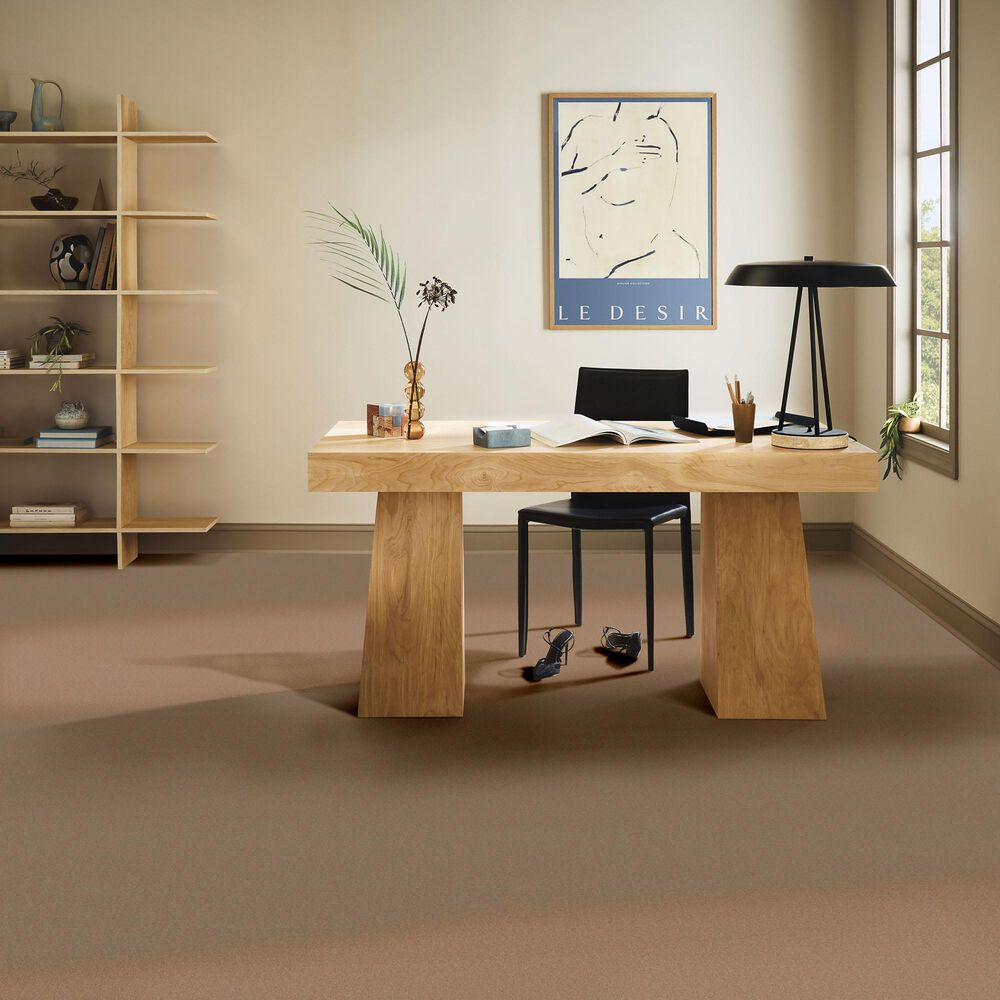 Anderson Tuftex Finery Carpet in Deer Path, , large
