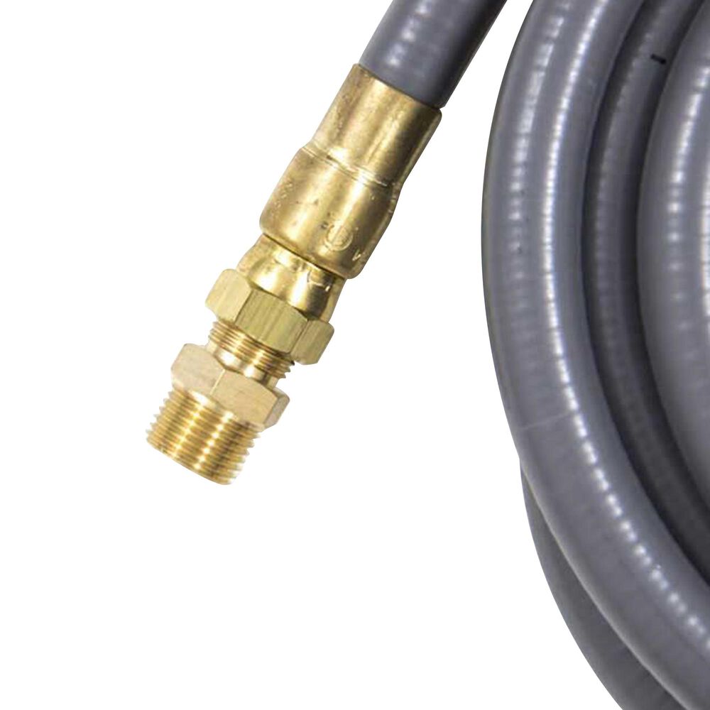 Blaze Natural Gas Hose with Quick Disconnect in Stainless Steel, , large
