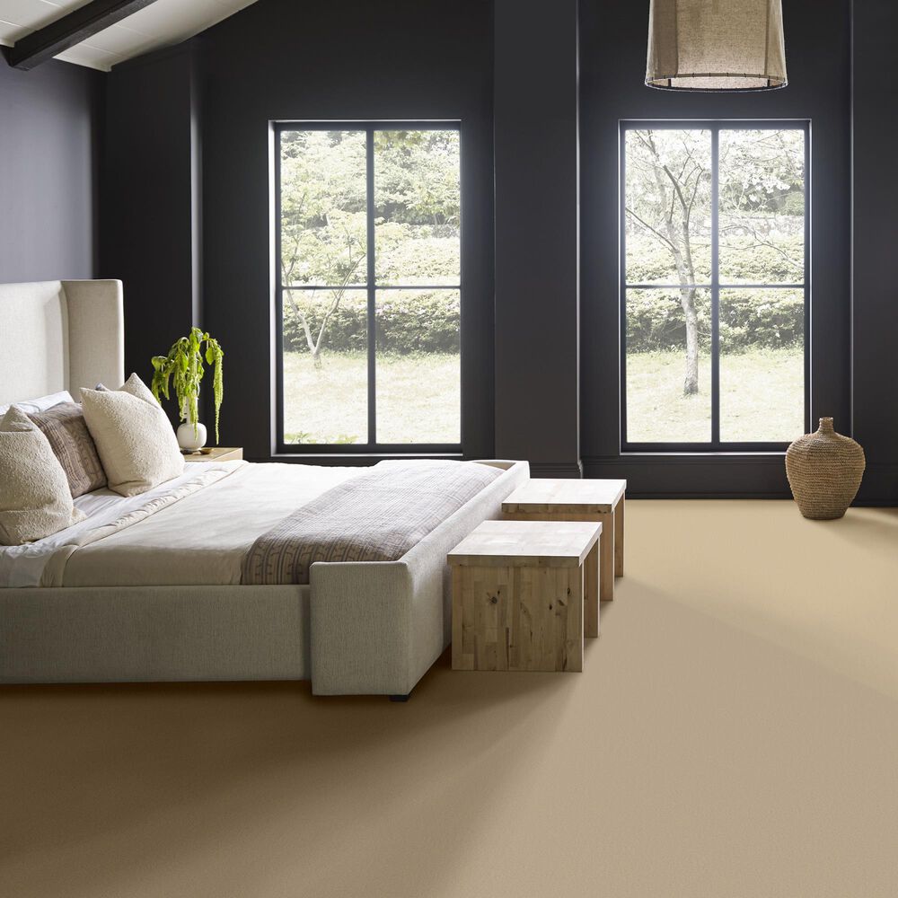 Anderson Tuftex Finery Carpet in Ecru, , large