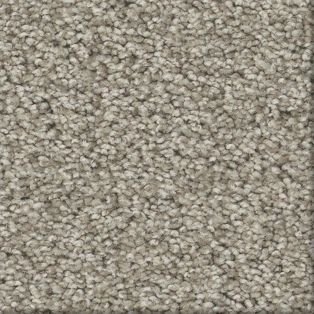 Shaw Comforting I Carpet in Rustic, , large