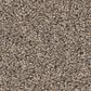 Shaw Wonderland III 15" Carpet in Slate, , large