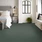 Anderson Tuftex Finery Carpet in Grove, , large
