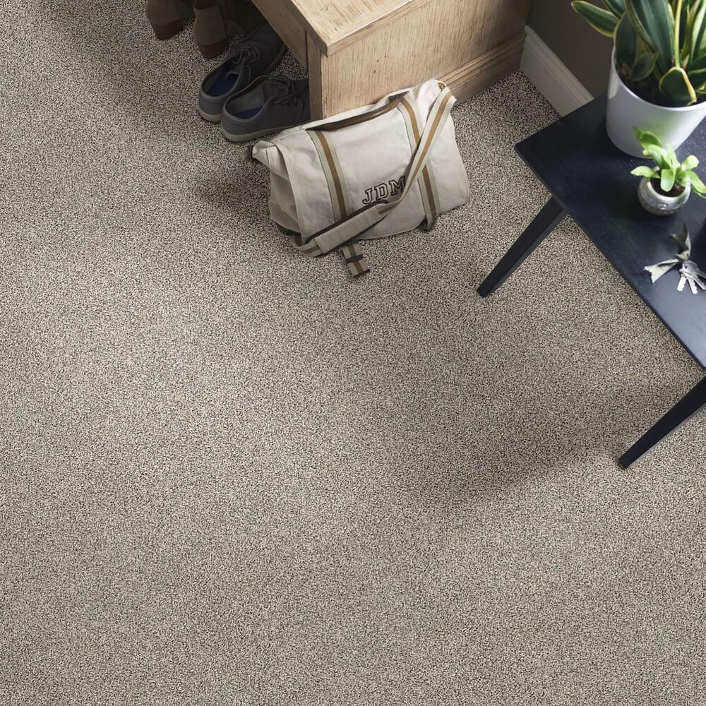 Shaw Simply the Best All About It Carpet in Pencil Sketch, , large