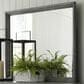 Ashley Russelyn Dresser Mirror in Light Weathered Gray, , large