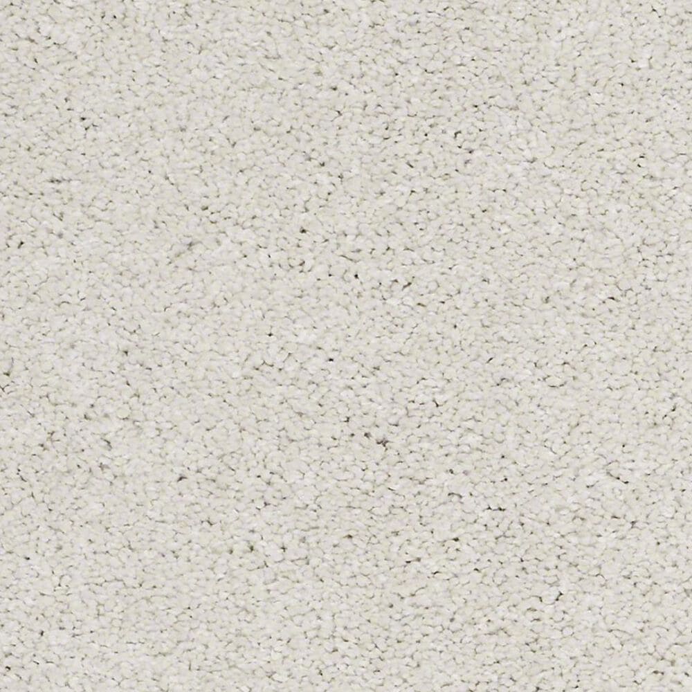 Anderson Tuftex Barracan Classic II Carpet in Suffolk, , large