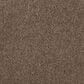 Mohawk Windsor Gardens II Carpet in Nutmeg, , large