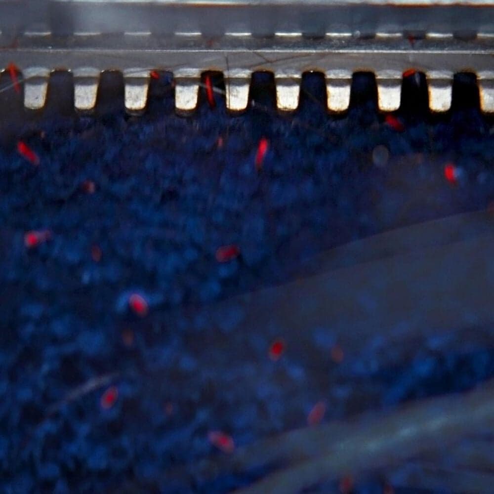 Dyson Clean and Wash Hygiene Wet Cleaner in Prussian Blue and Copper, , large