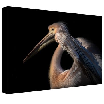 Timberlake Natalia Rublina "The Pelican Philosopher..." 12" x 19" Canvas Art in Black/Tan/Grey, , large