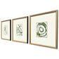 Paragon 16" x 18" Chaos I Wall Art in Green (Set of 3), , large