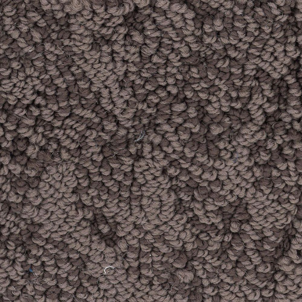 Anderson Tuftex Lavish Living Carpet in Burma Brown, , large