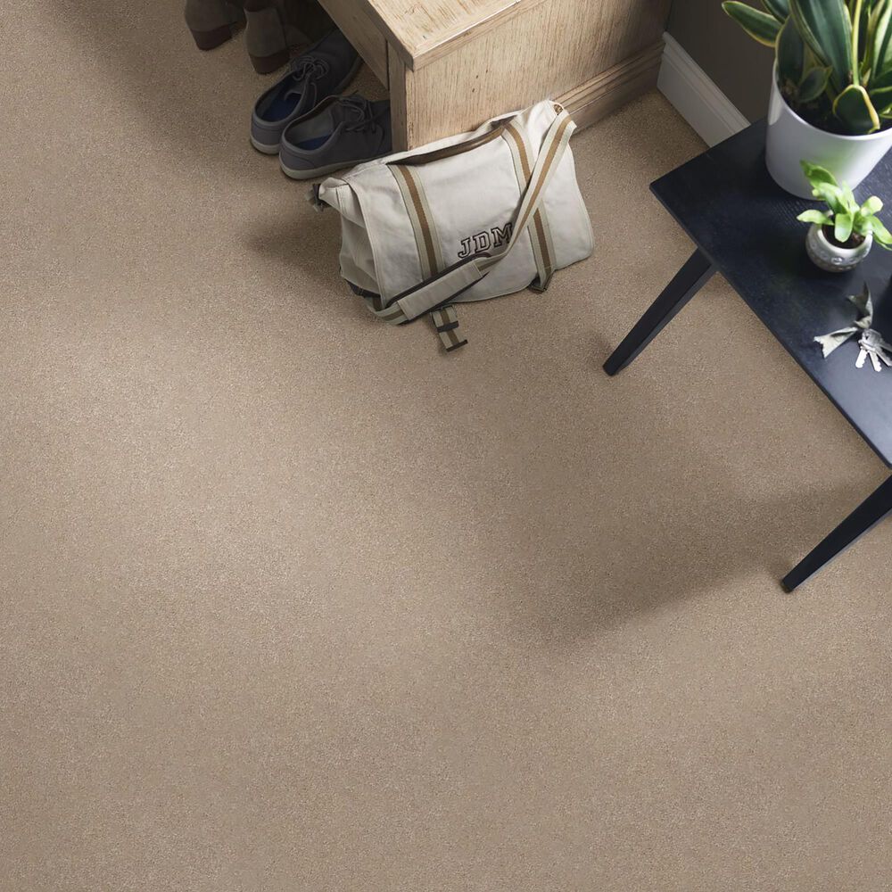 Shaw Well Grounded I 12&#39; Carpet in Raw Lumber, , large