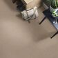 Shaw Well Grounded I 12" Carpet in Raw Lumber, , large