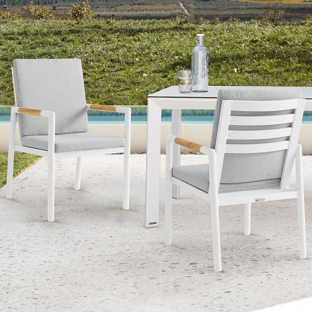 Blue River Royal Patio Dining Chair in White &#40;Set of 2&#41;, , large