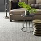 Anderson Tuftex Aspen Creek Carpet in Modern Ivory, , large