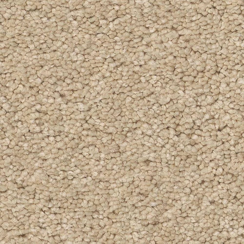 Anderson Tuftex Elegant Beauty Carpet in Papyrus, , large