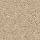 Anderson Tuftex Elegant Beauty Carpet in Papyrus, , large