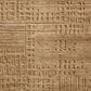 Loloi Woods Sand 11"6" x 15" Area Rug, , large