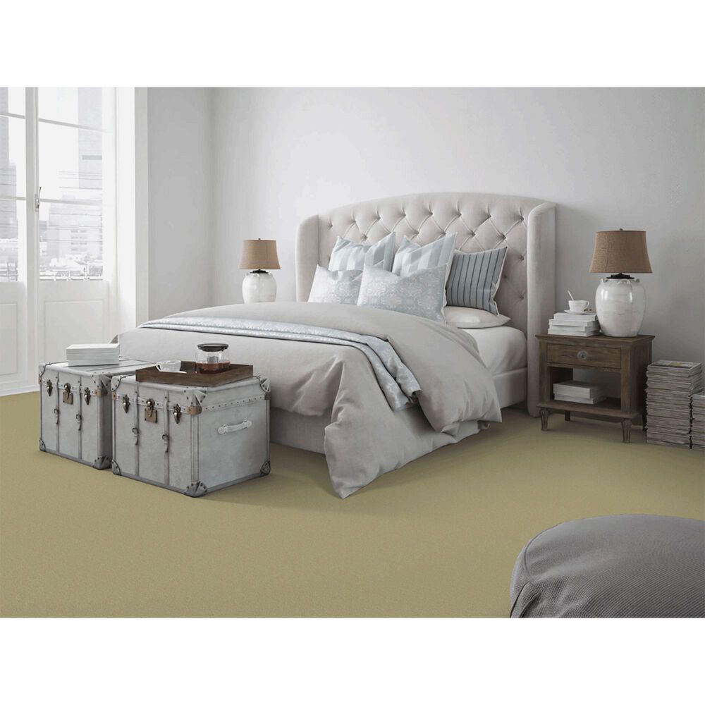 Dixie Home Neverland Carpet in Willow, , large